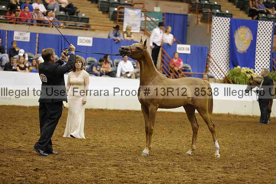 Proof 13r12_8538