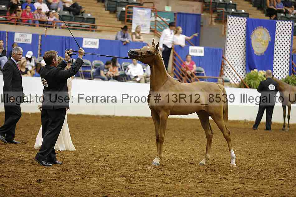 Proof 13r12_8539