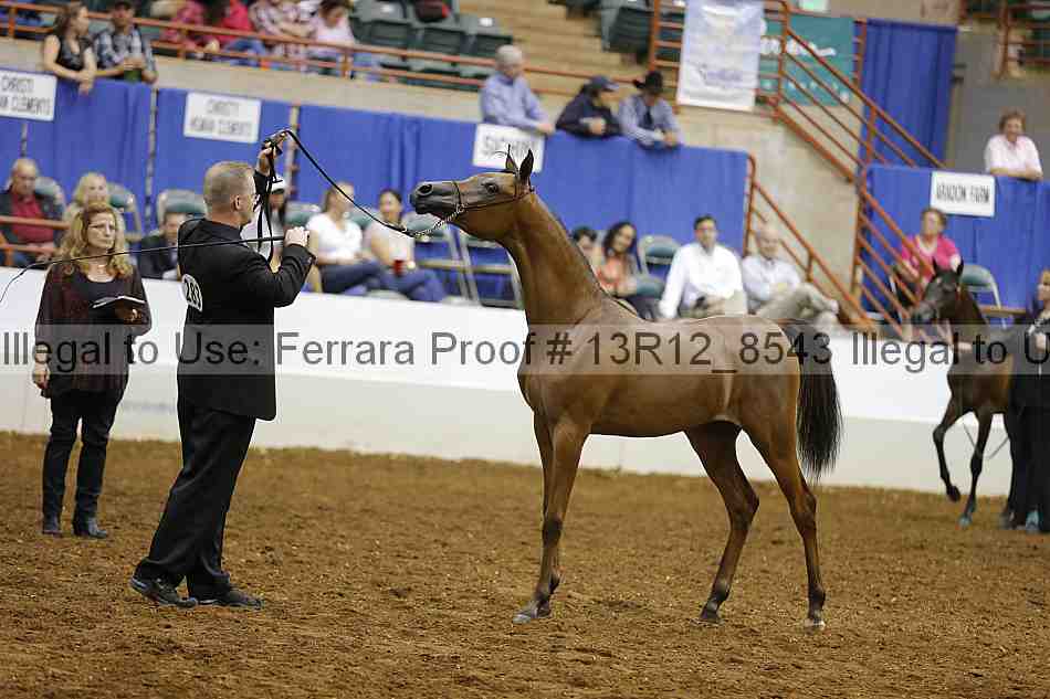 Proof 13r12_8543