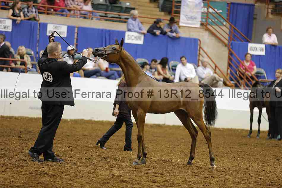 Proof 13r12_8544