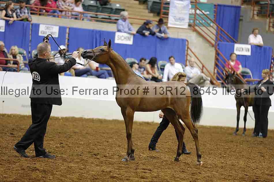 Proof 13r12_8545