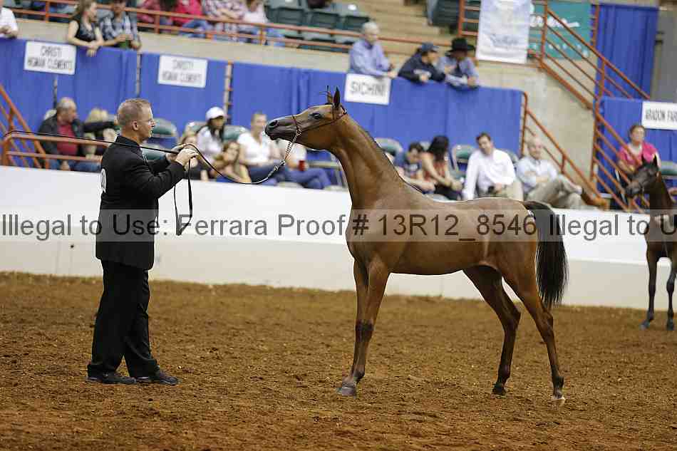 Proof 13r12_8546