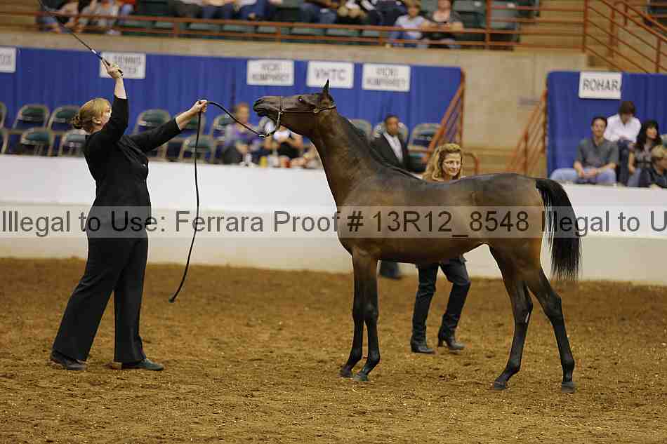 Proof 13r12_8548