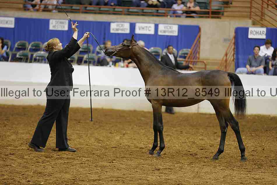 Proof 13r12_8549