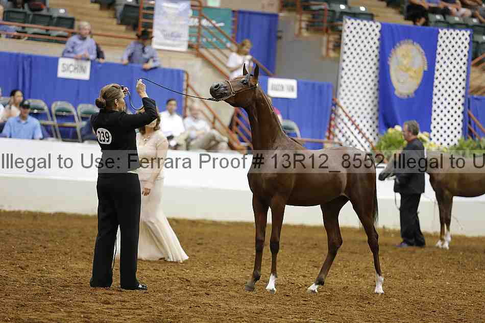 Proof 13r12_8552