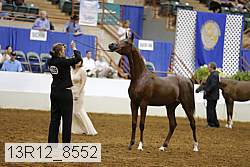 13r12_8552 proof