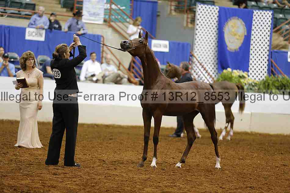 Proof 13r12_8553