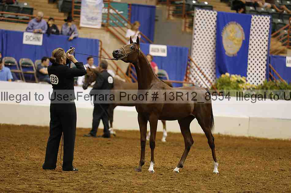 Proof 13r12_8554