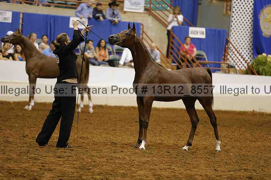 Proof 13r12_8557