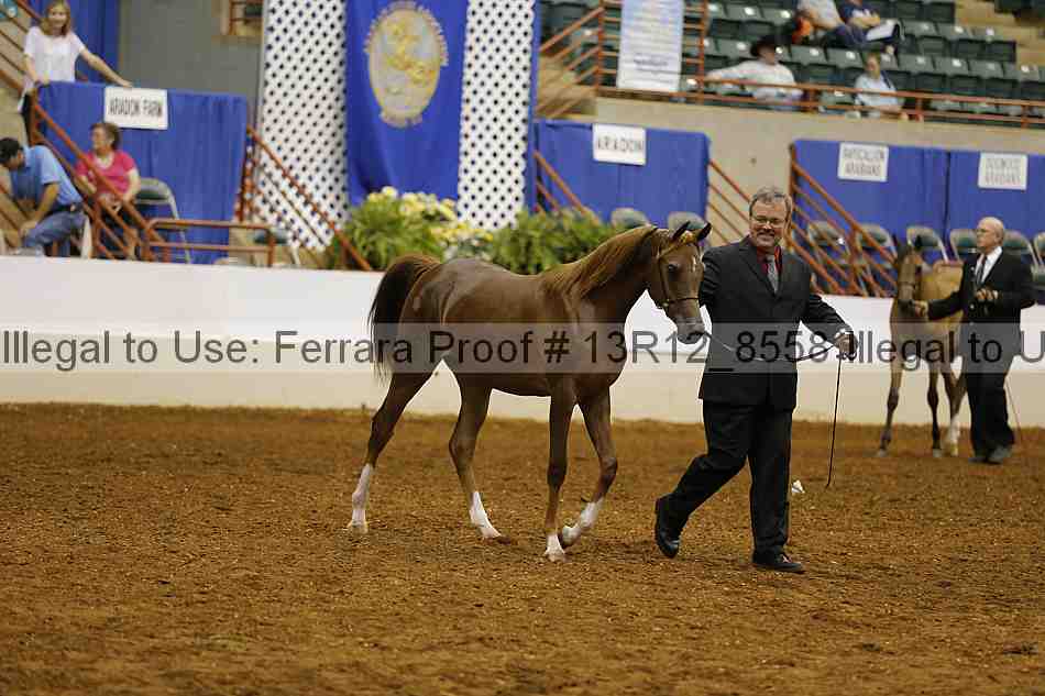 Proof 13r12_8558