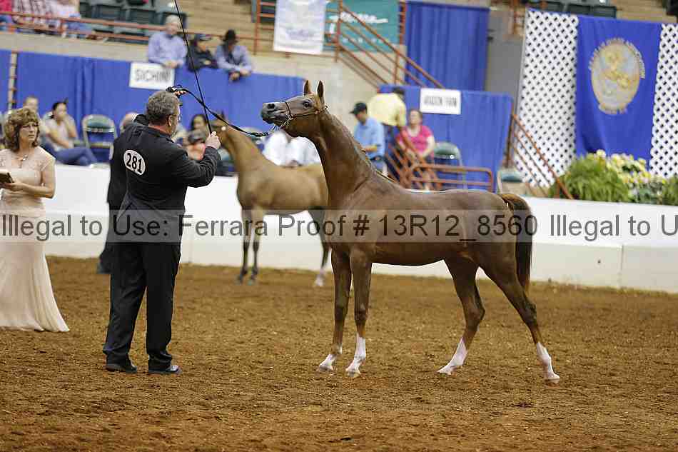 Proof 13r12_8560