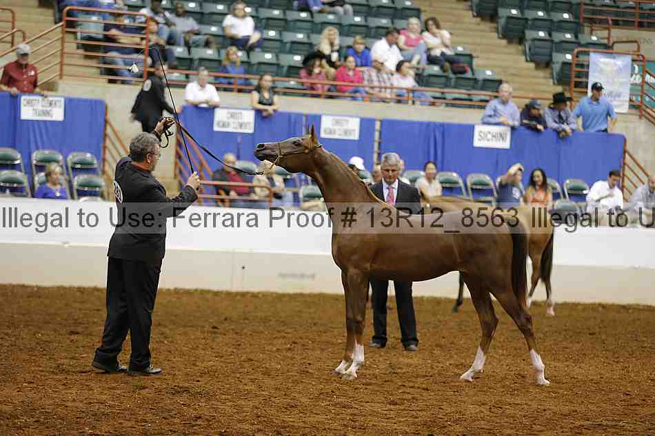 Proof 13r12_8563