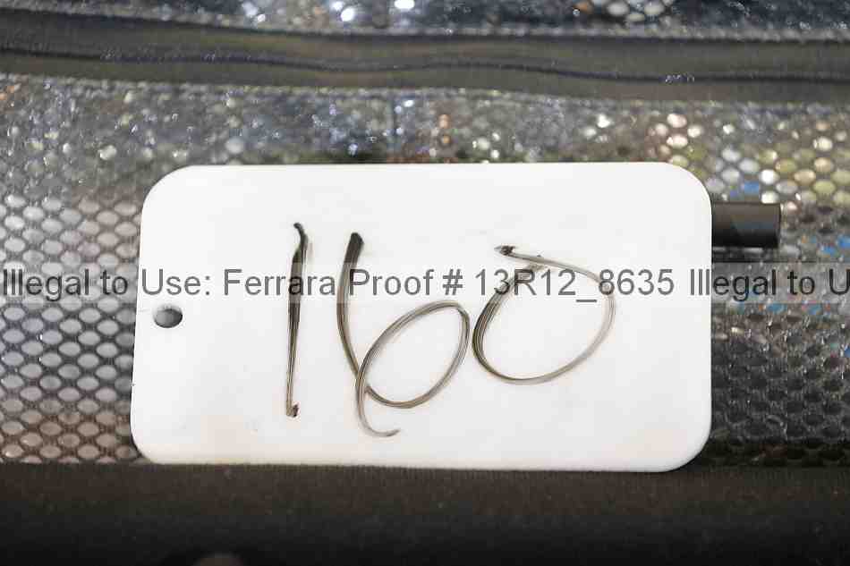 Proof 13r12_8635