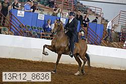 13r12_8636 proof