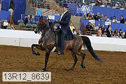 13r12_8639 proof