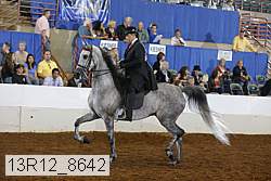 13r12_8642 proof