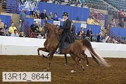 13r12_8644 proof