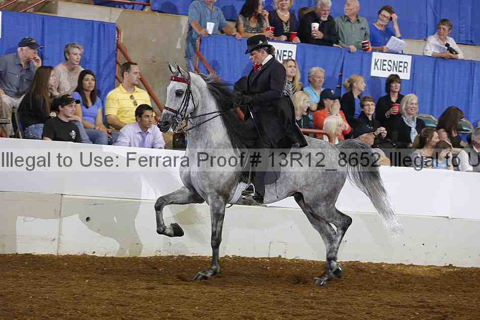 Proof 13r12_8652