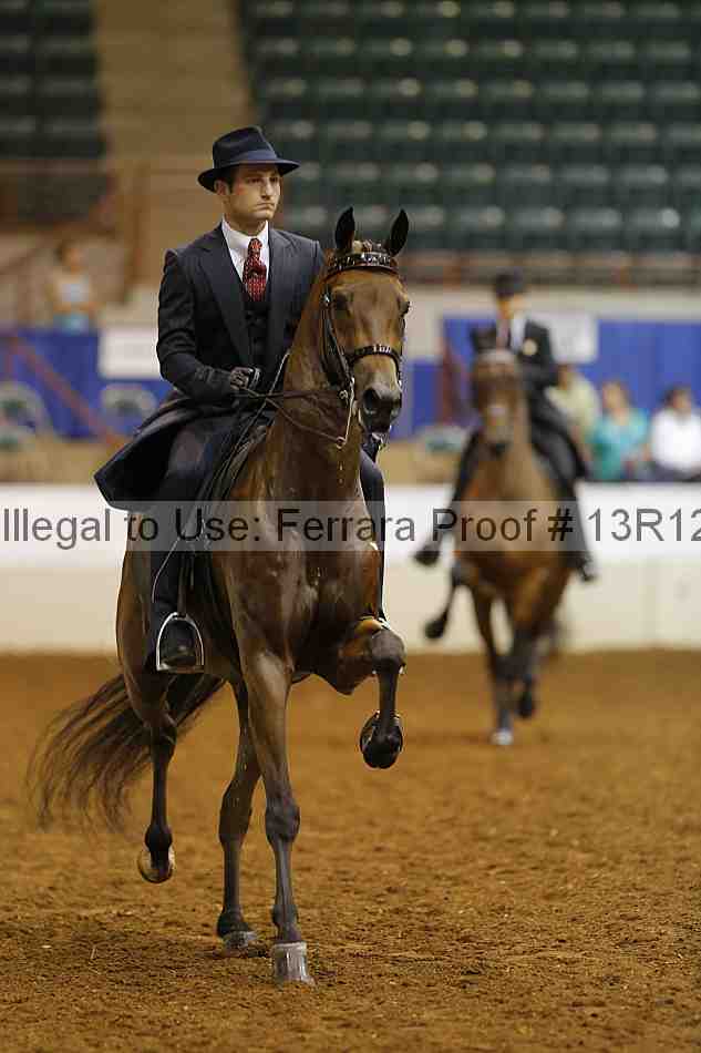 Proof 13r12_8656