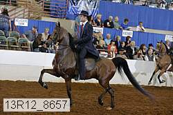 13r12_8657 proof