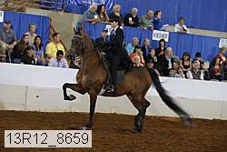 13r12_8659 proof