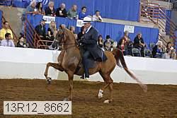 13r12_8662 proof