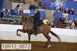 13r12_8672 proof