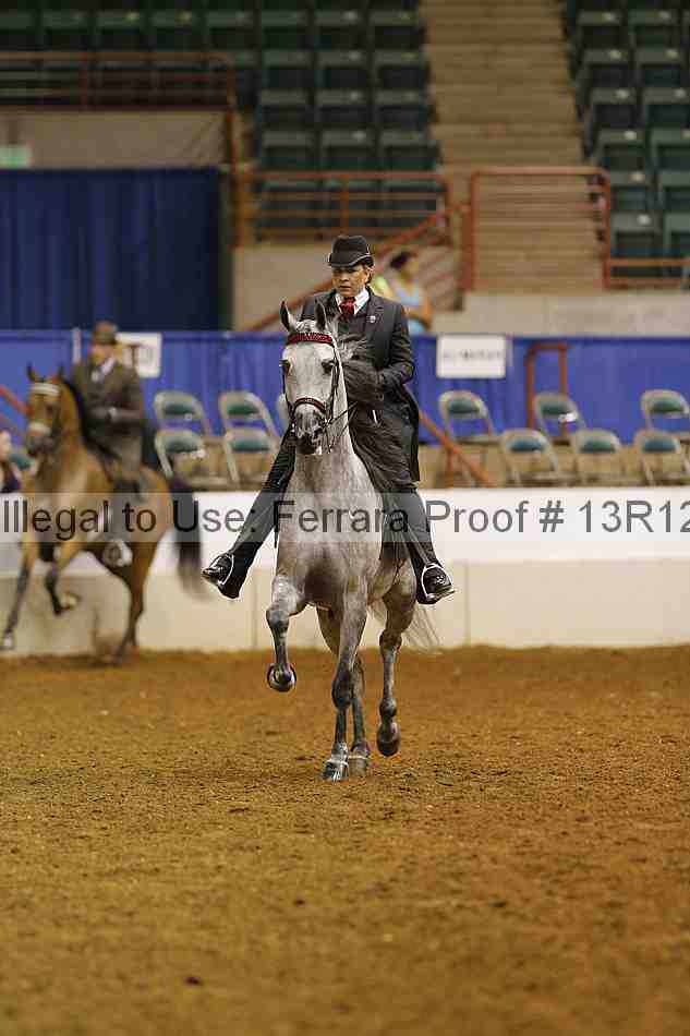 Proof 13r12_8675