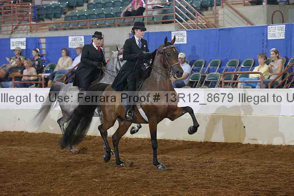 Proof 13r12_8679