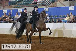 13r12_8679 proof