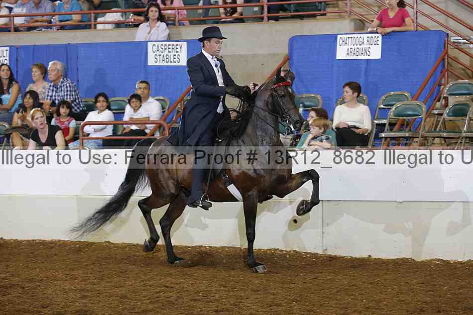 Proof 13r12_8682