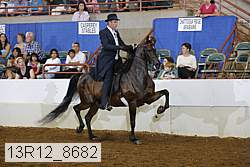 13r12_8682 proof