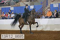 13r12_8685 proof