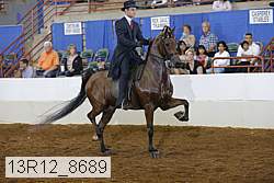 13r12_8689 proof