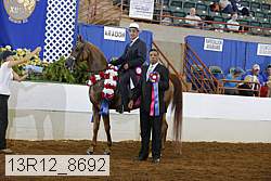 13r12_8692 proof