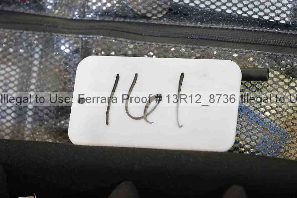 Proof 13r12_8736