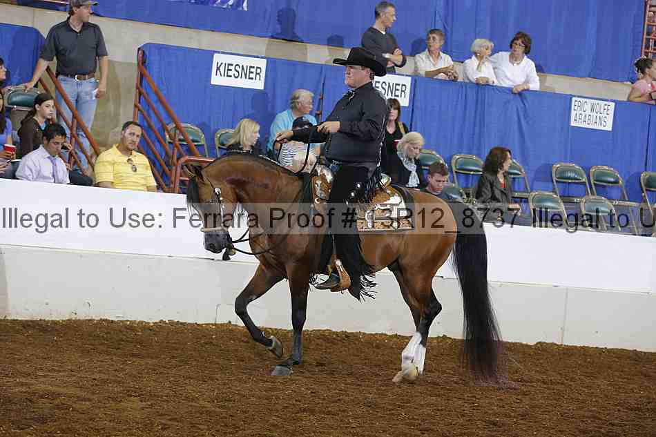 Proof 13r12_8737