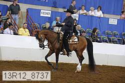 13r12_8737 proof