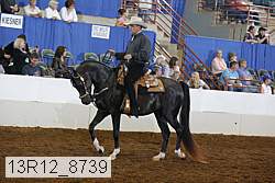 13r12_8739 proof