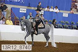 13r12_8740 proof