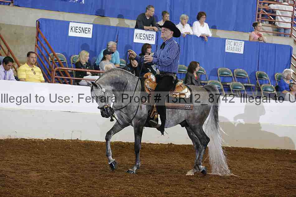 Proof 13r12_8742