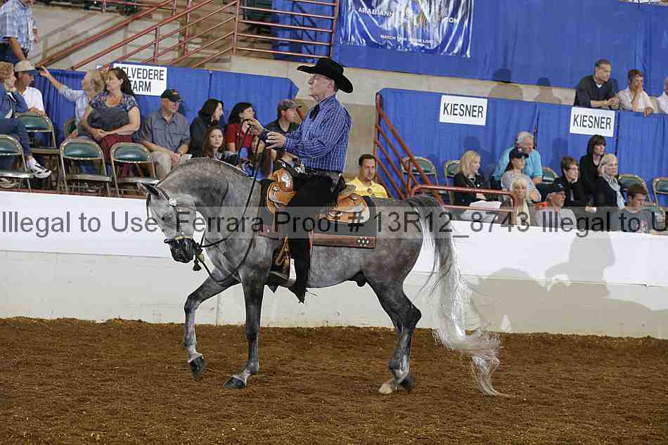 Proof 13r12_8743