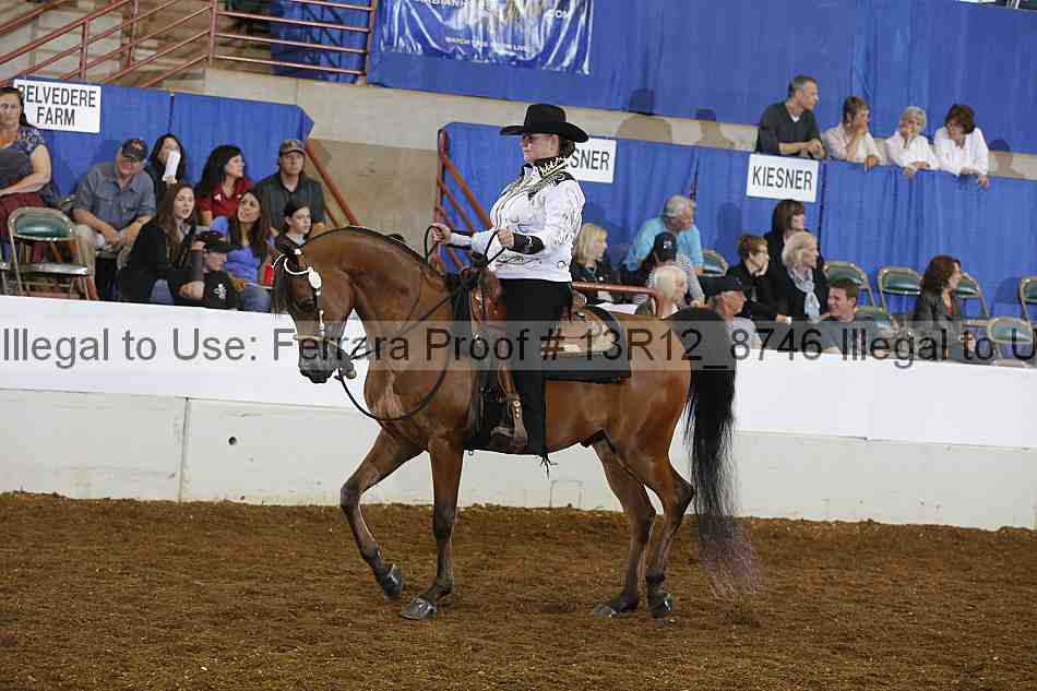 Proof 13r12_8746