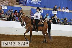 13r12_8746 proof
