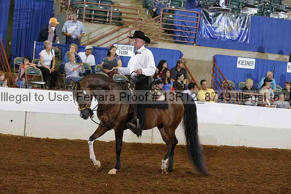 Proof 13r12_8749