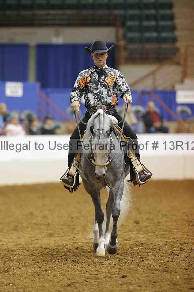 Proof 13r12_8751