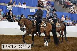 13r12_8752 proof