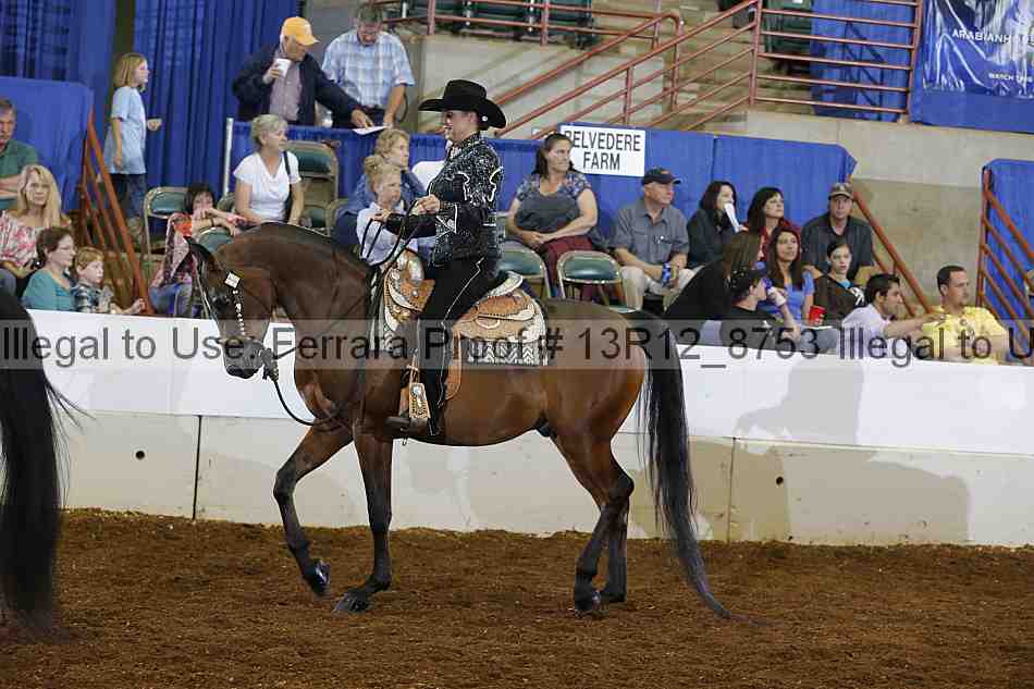 Proof 13r12_8753