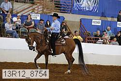 13r12_8754 proof