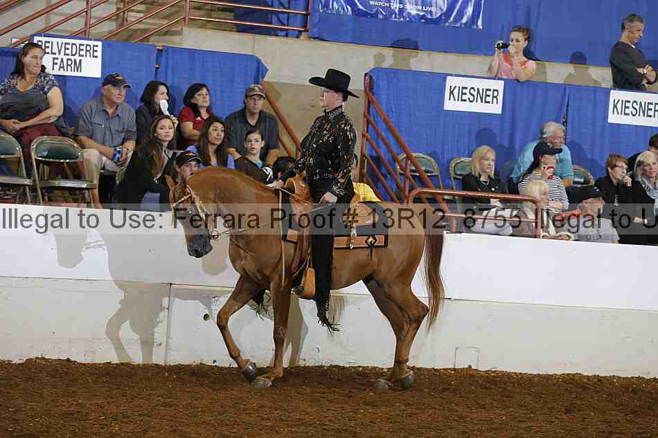 Proof 13r12_8755